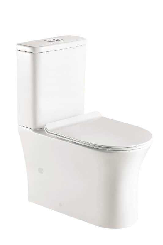 Back To Wall Toilet