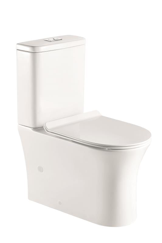 Back To Wall Toilet