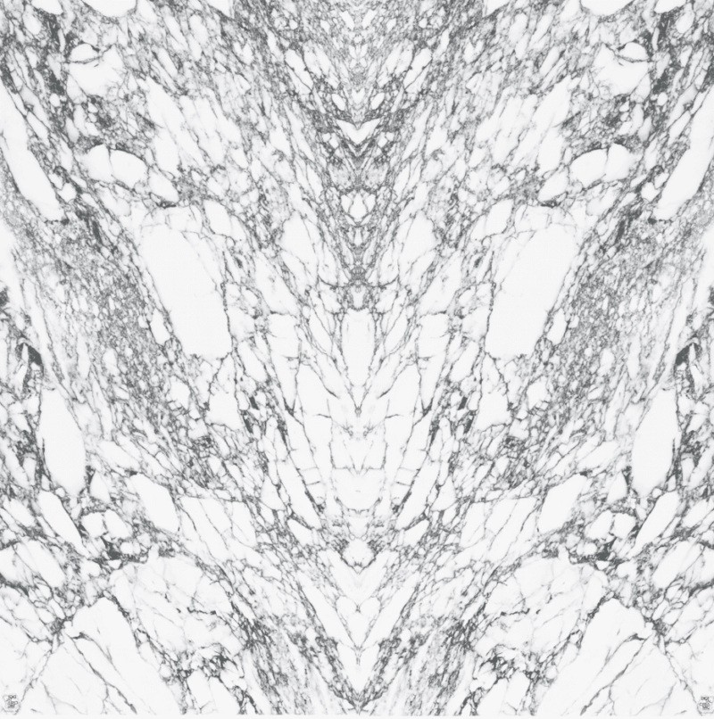 White marble texture with intricate gray veining pattern.