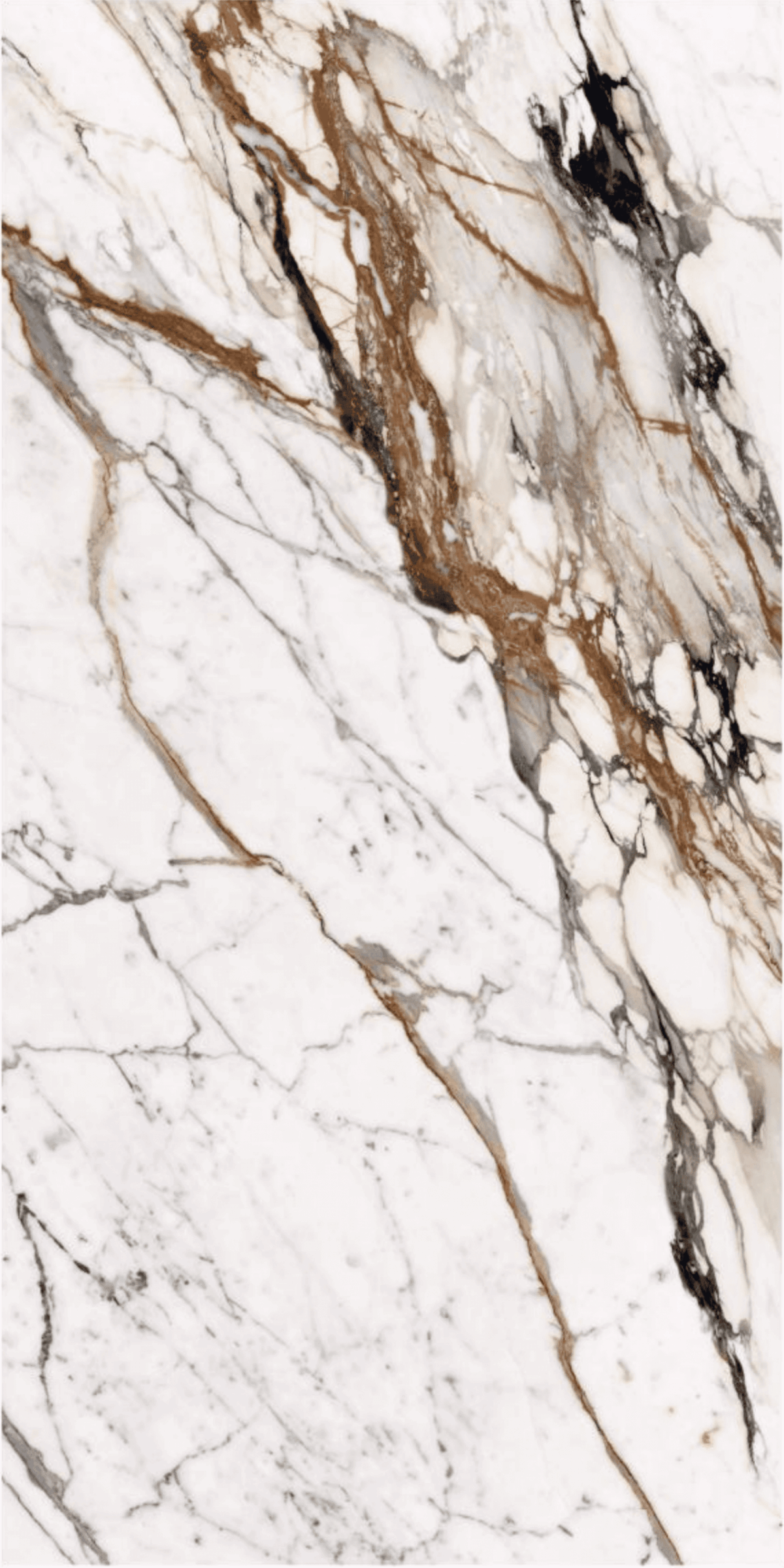 Paonazzo 3200x1600x12mm Baby Face H6336 Paonazzo marble slab with brown and gray veining.