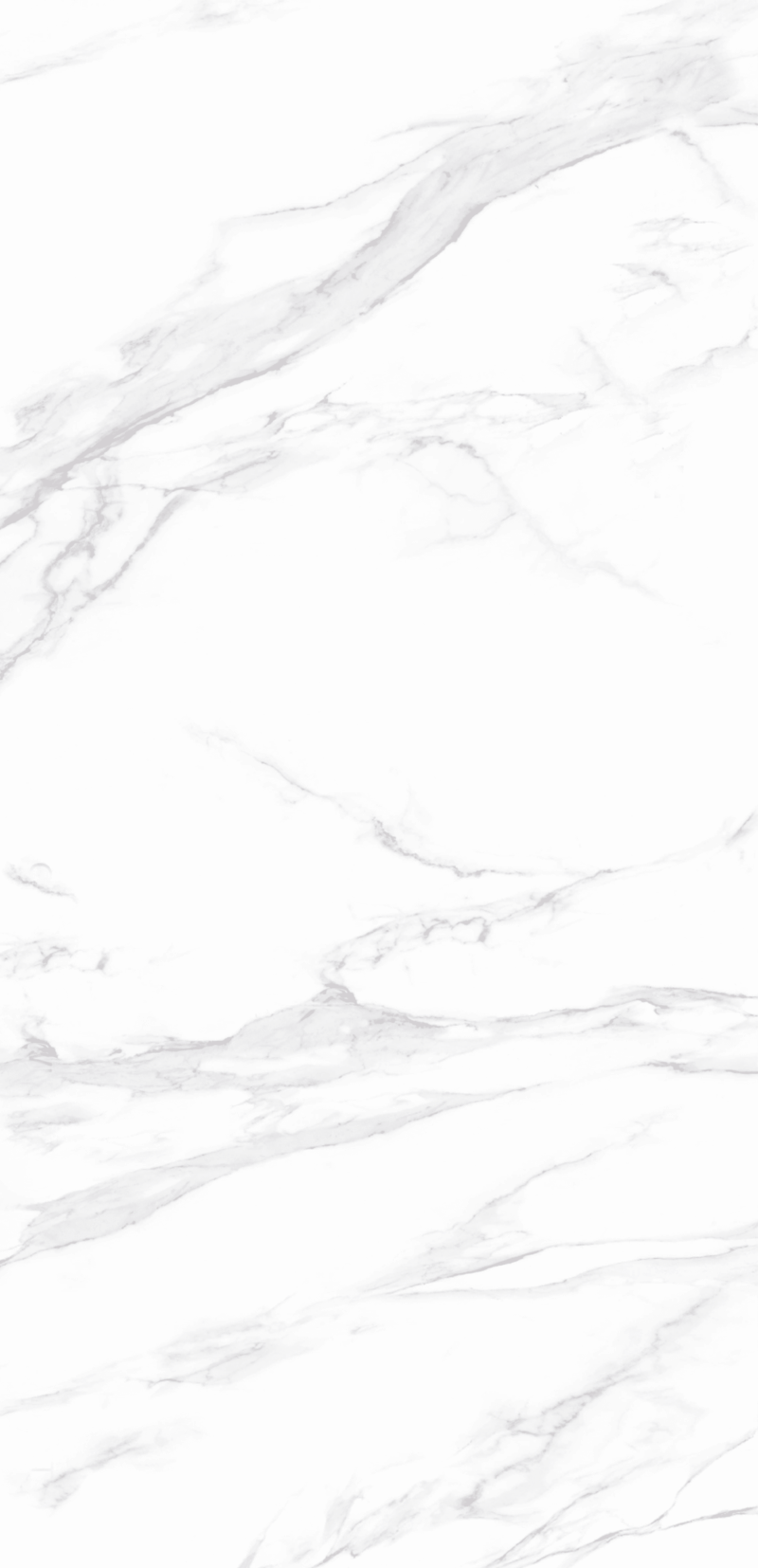 Sintered Stone H6310 Calacatta White