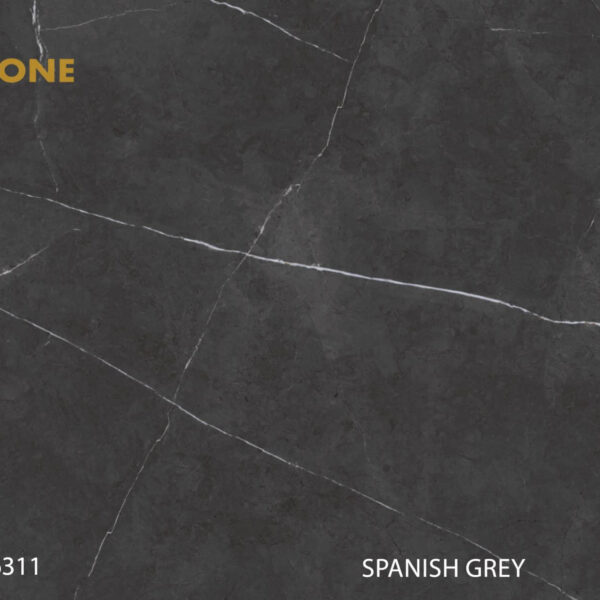 H6311-Spanish-Grey