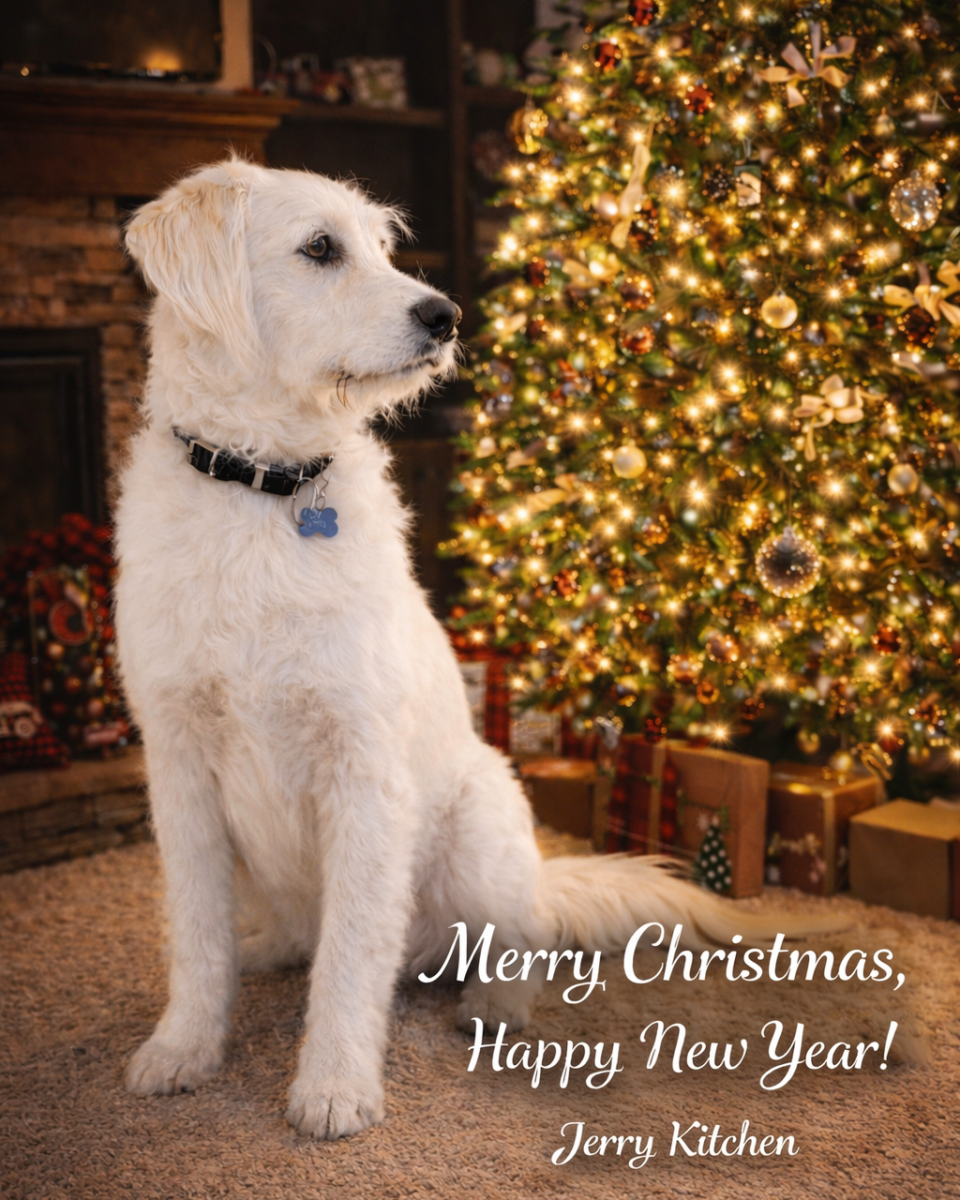 Image_202512241716062